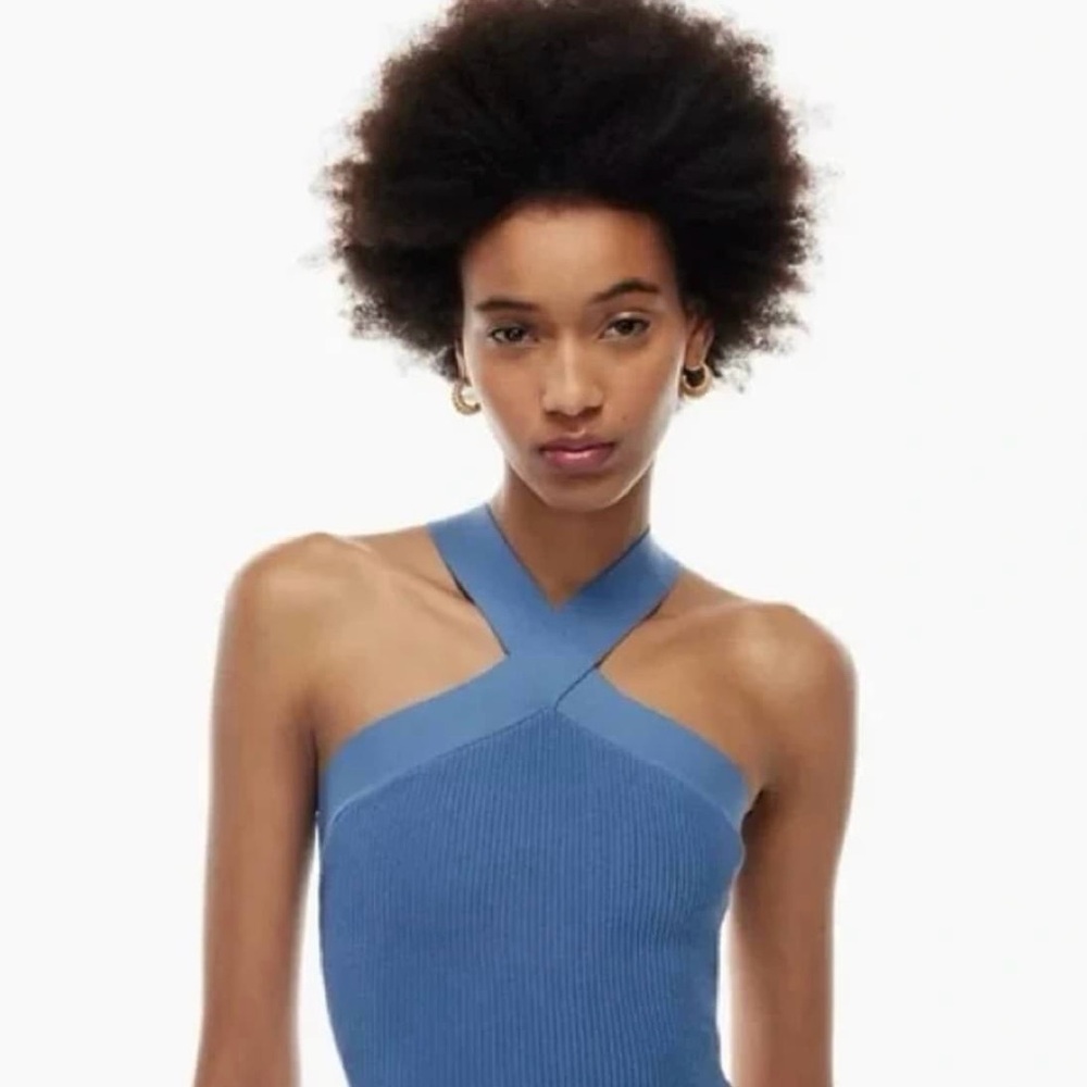 Aritzia Babaton sculpt knit tank